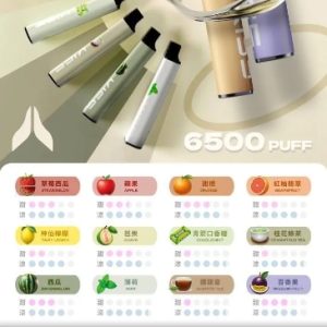 kiss6500煙彈,電子菸,加熱菸,煙彈,加熱菸油,拋棄式菸彈