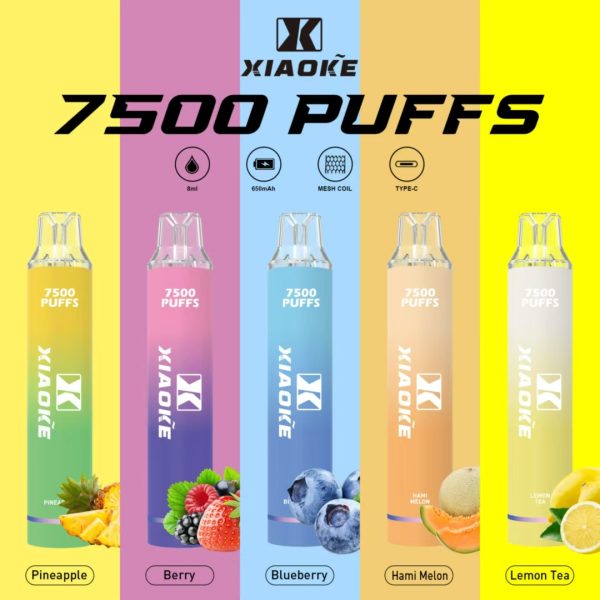 【XIAOKE 梟客】★拋棄式★ 一次性霧化商品 7500口 (可充電)：圖片 3