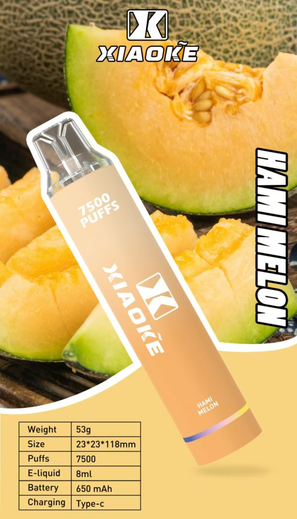 【XIAOKE 梟客】★拋棄式★ 一次性霧化商品 7500口 (可充電)：圖片 7
